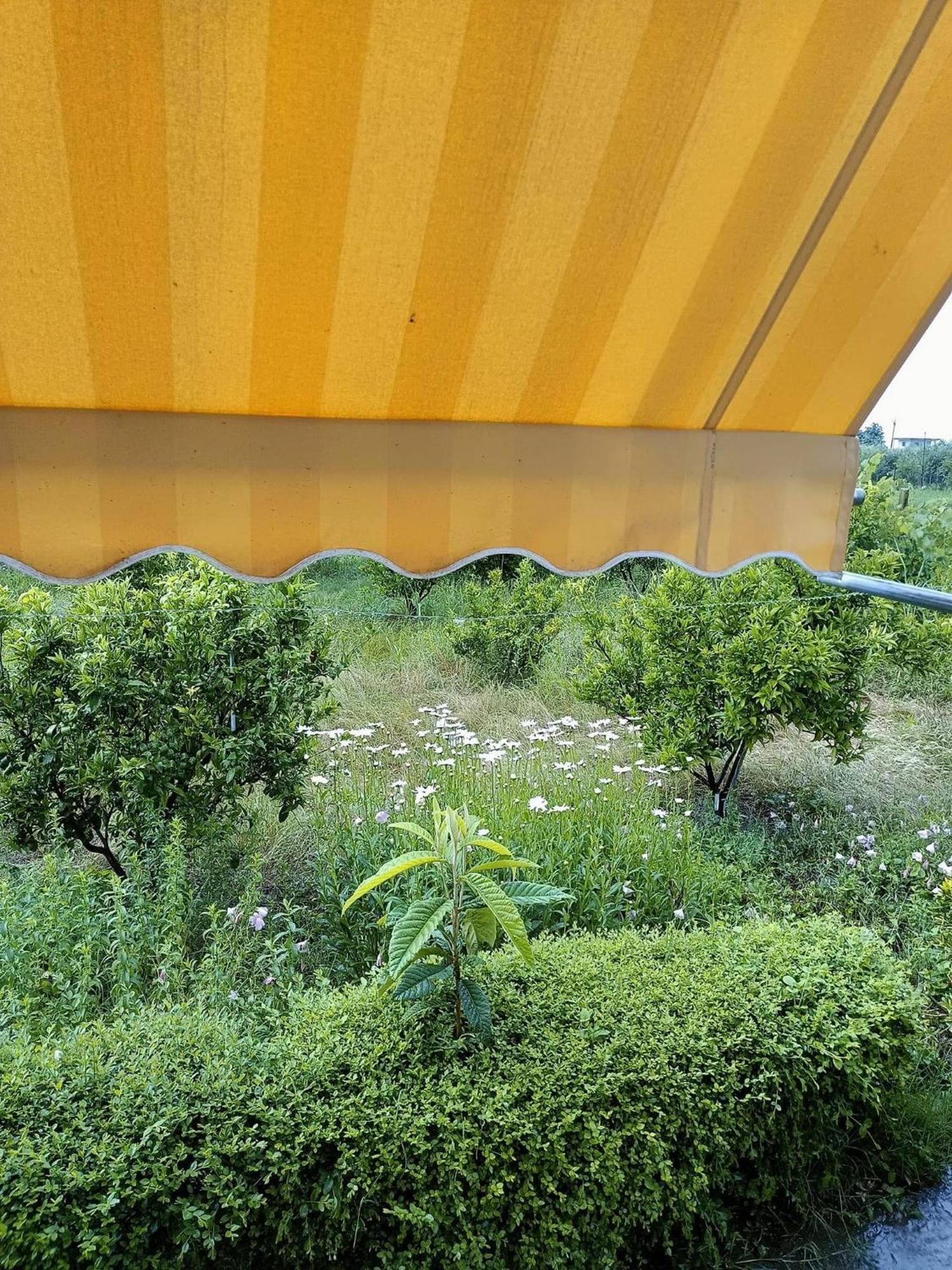 Guest House Fetie Berat Exterior photo
